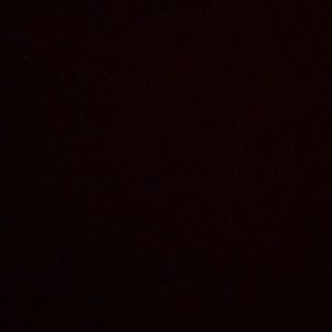 Meet your Posher, Tyonna